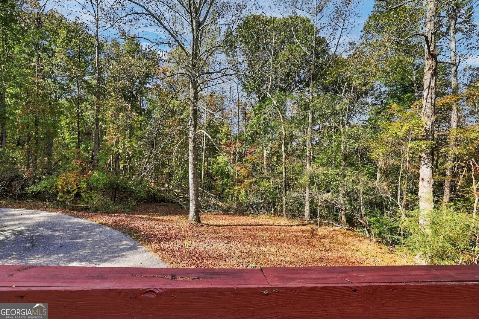 369 Featherwood Drive Cornelia - Photo 61