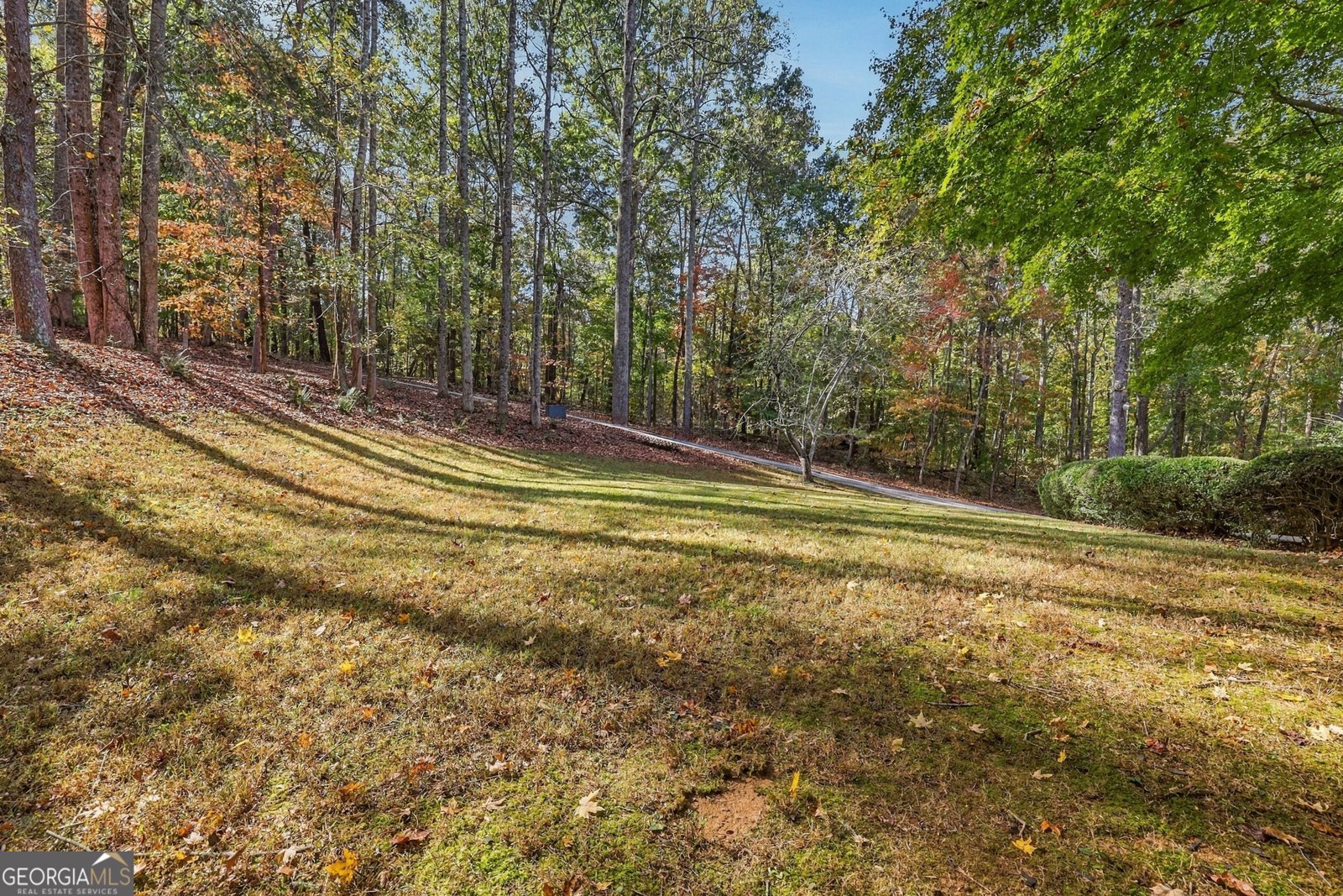 369 Featherwood Drive Cornelia - Photo 63
