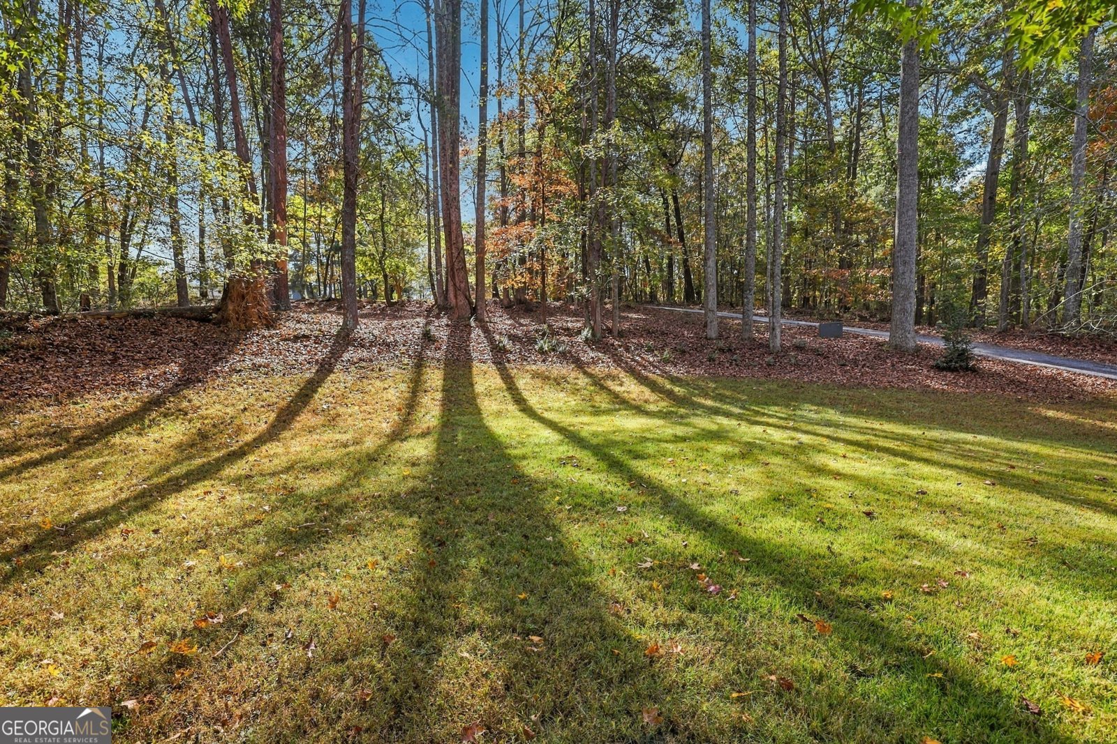 369 Featherwood Drive Cornelia - Photo 64