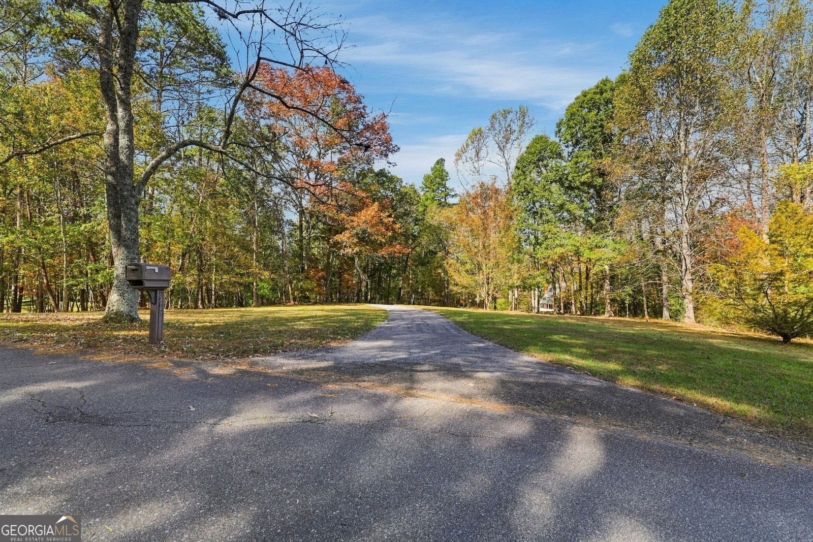 369 Featherwood Drive Cornelia - Photo 66