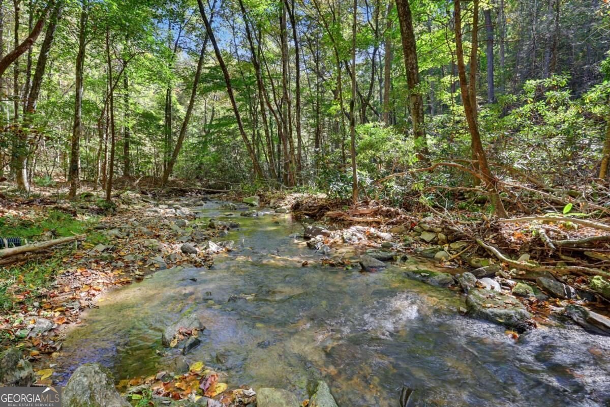 30 Highland Ridge East Blairsville - Photo 71