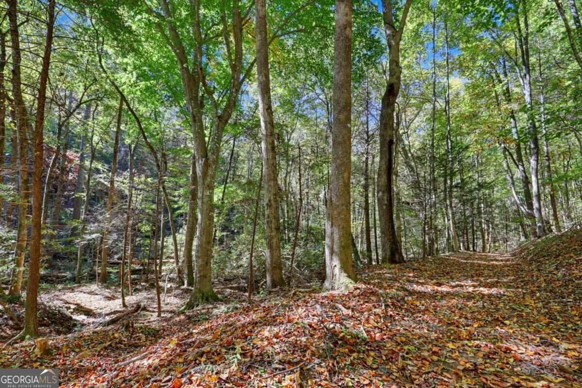 30 Highland Ridge East Blairsville - Photo 73