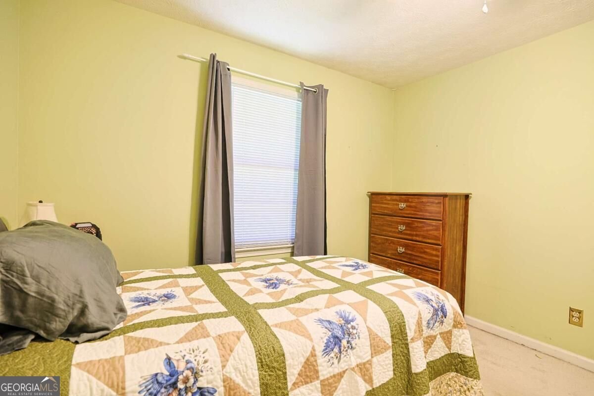 160 Helen Lane Stockbridge - Photo 24
