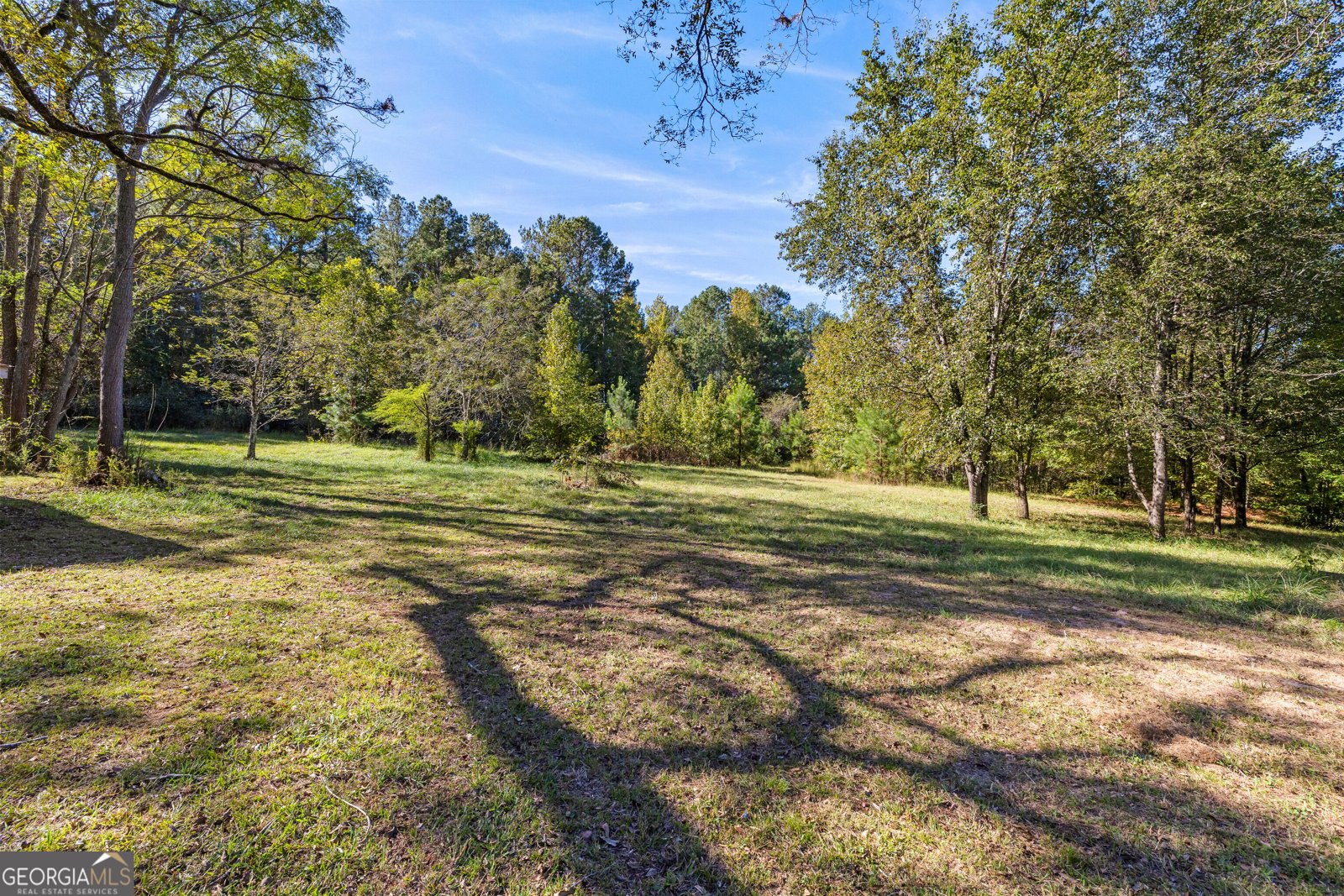 1394 Trice Cemetery Road Thomaston - Photo 52