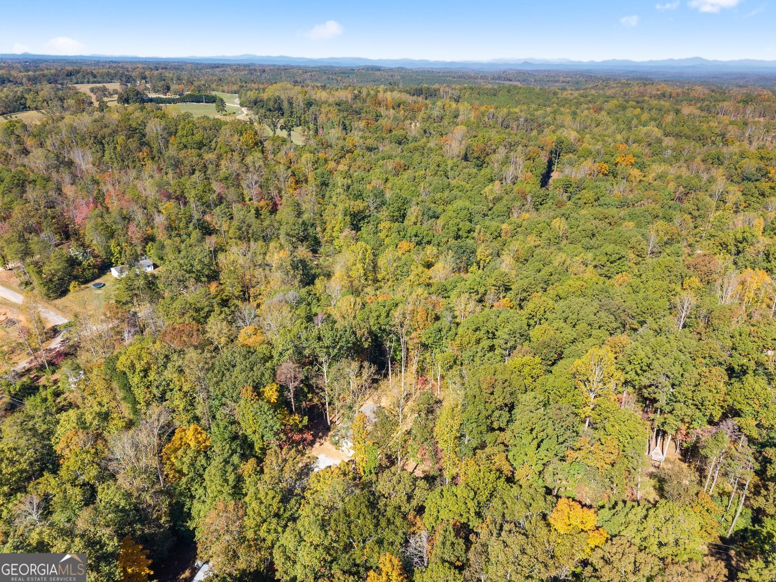 352 Lake Harbor Trail Martin - Photo 29