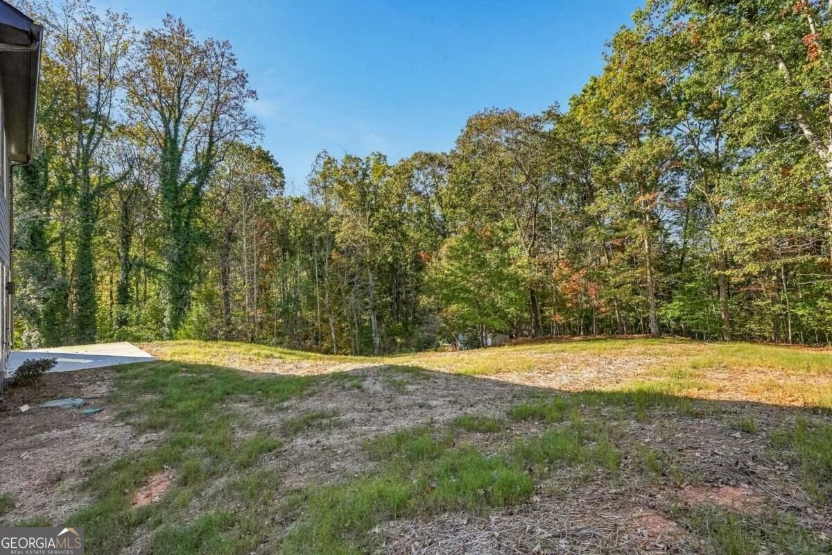 6156 Grant Ford Road Gainesville - Photo 51