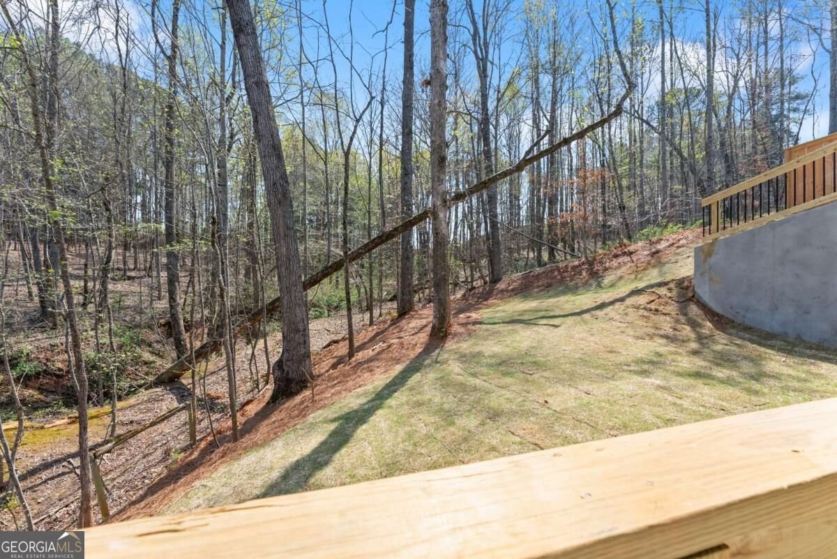 266 Magnolia Villas Drive Cornelia - Photo 52