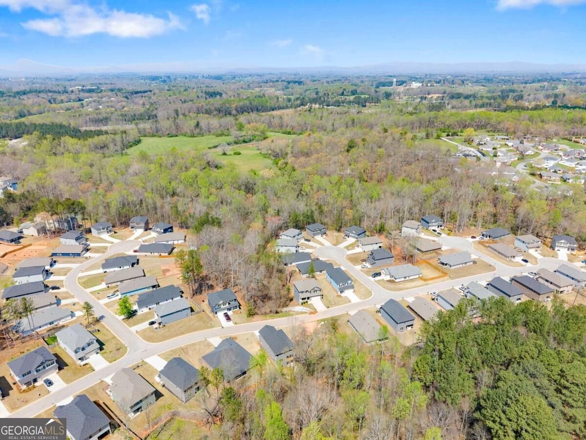 266 Magnolia Villas Drive Cornelia - Photo 60