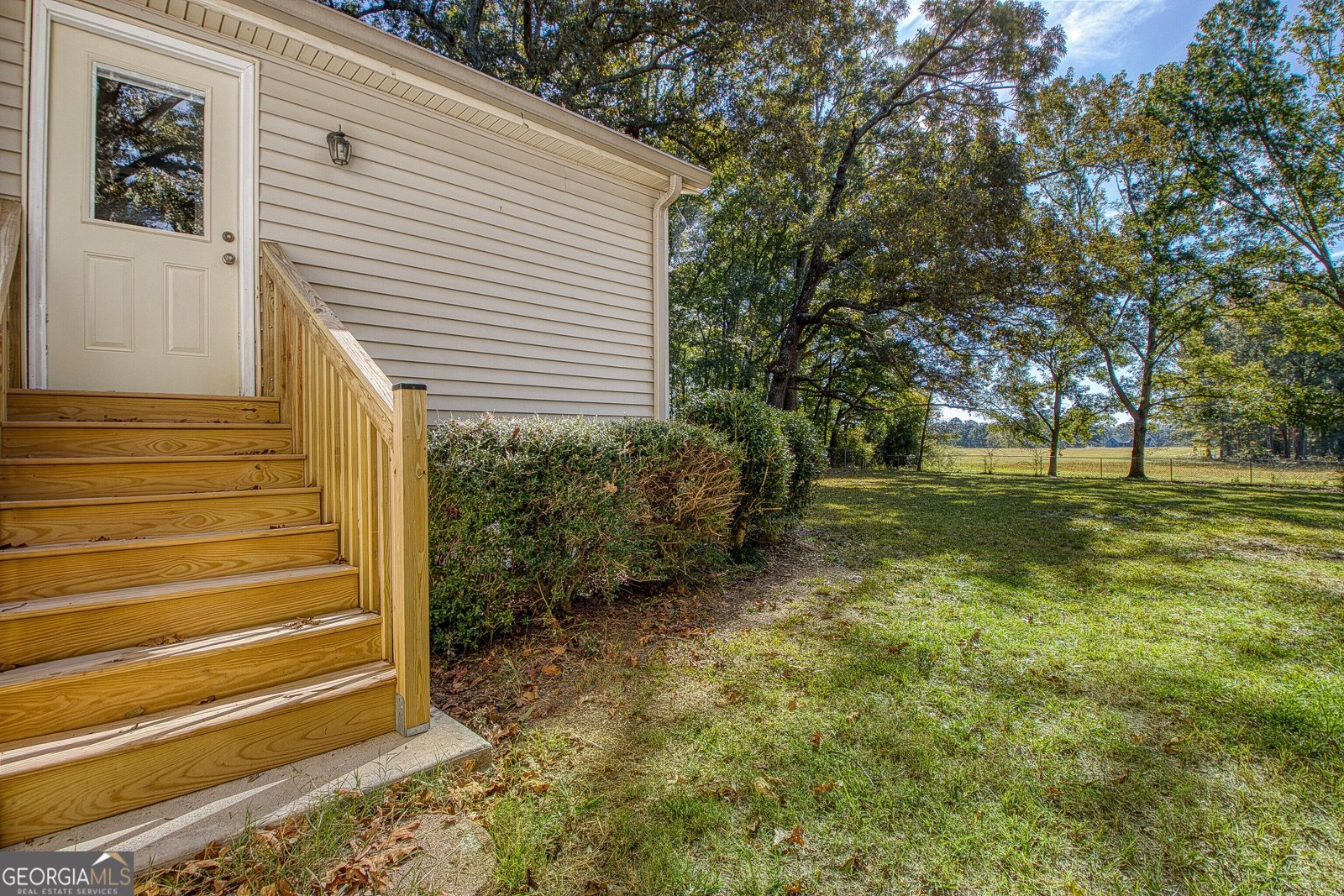 379 Line Creek Road Senoia - Photo 53
