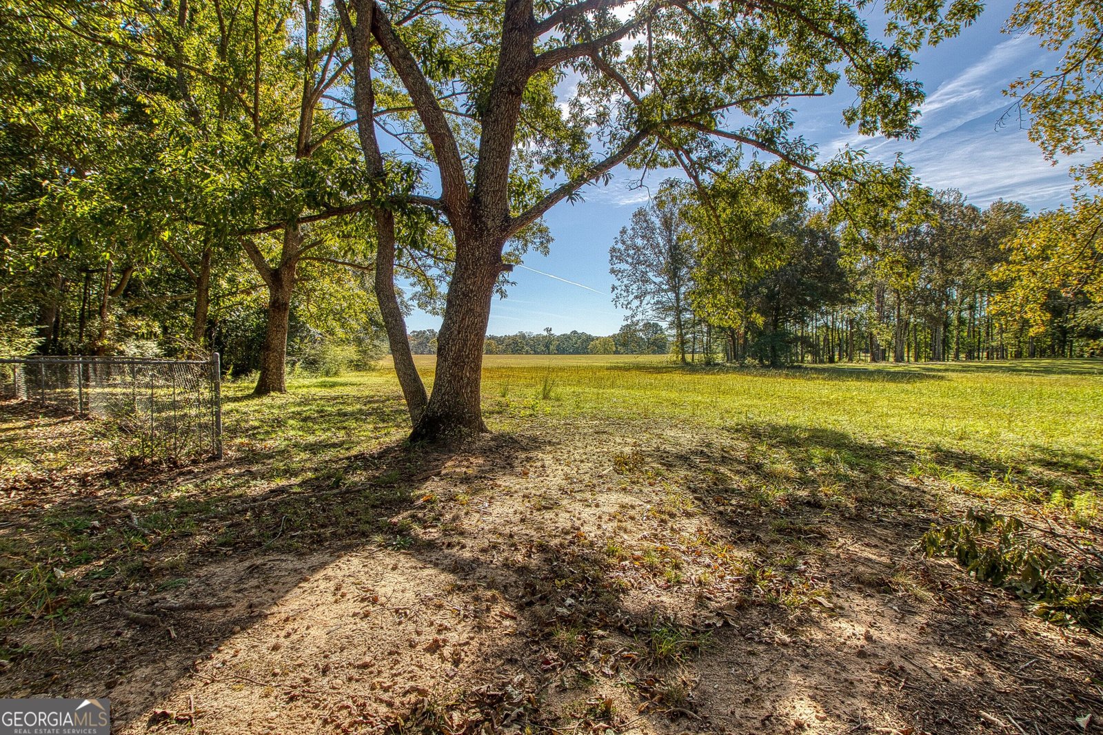 379 Line Creek Road Senoia - Photo 61