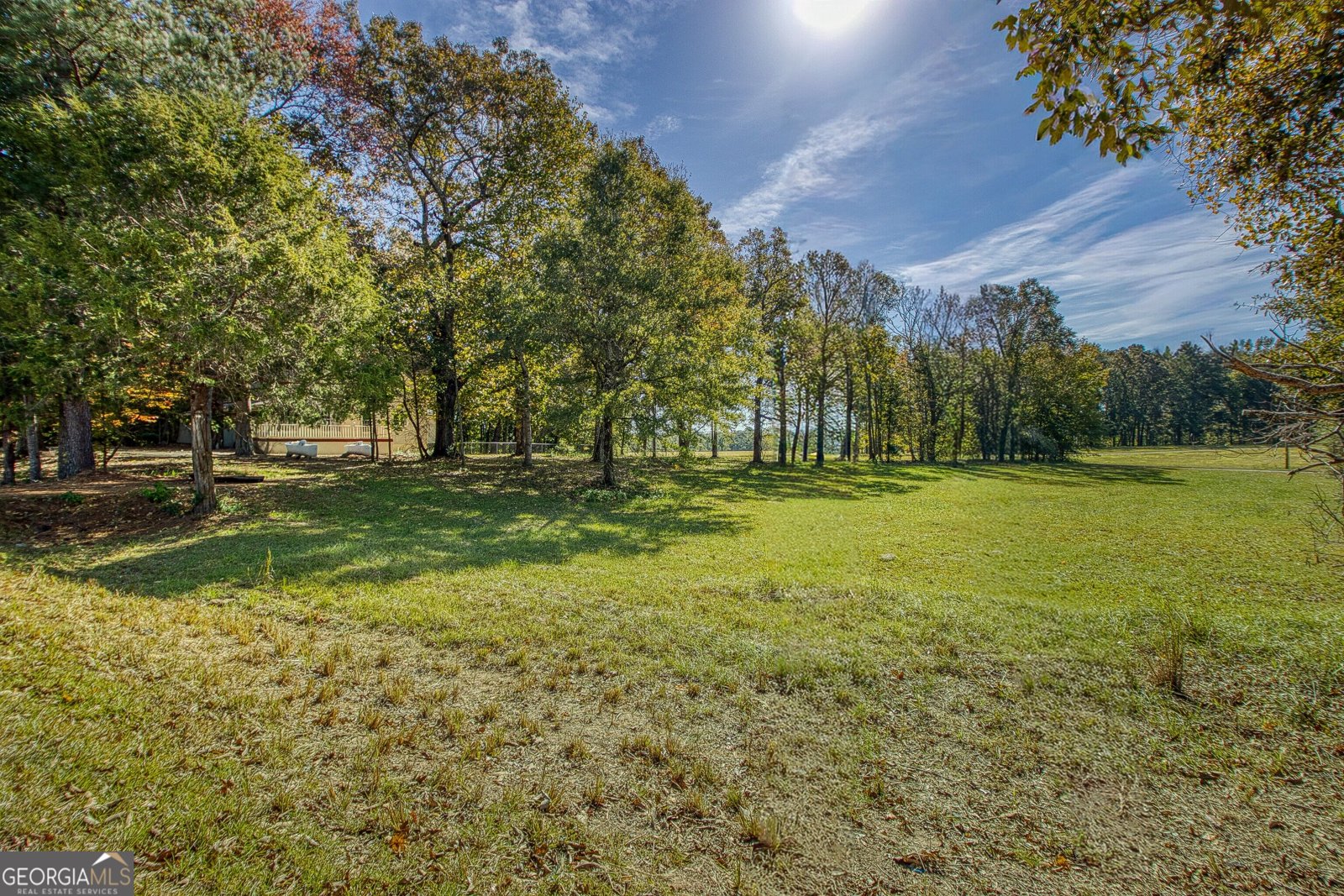 379 Line Creek Road Senoia - Photo 62