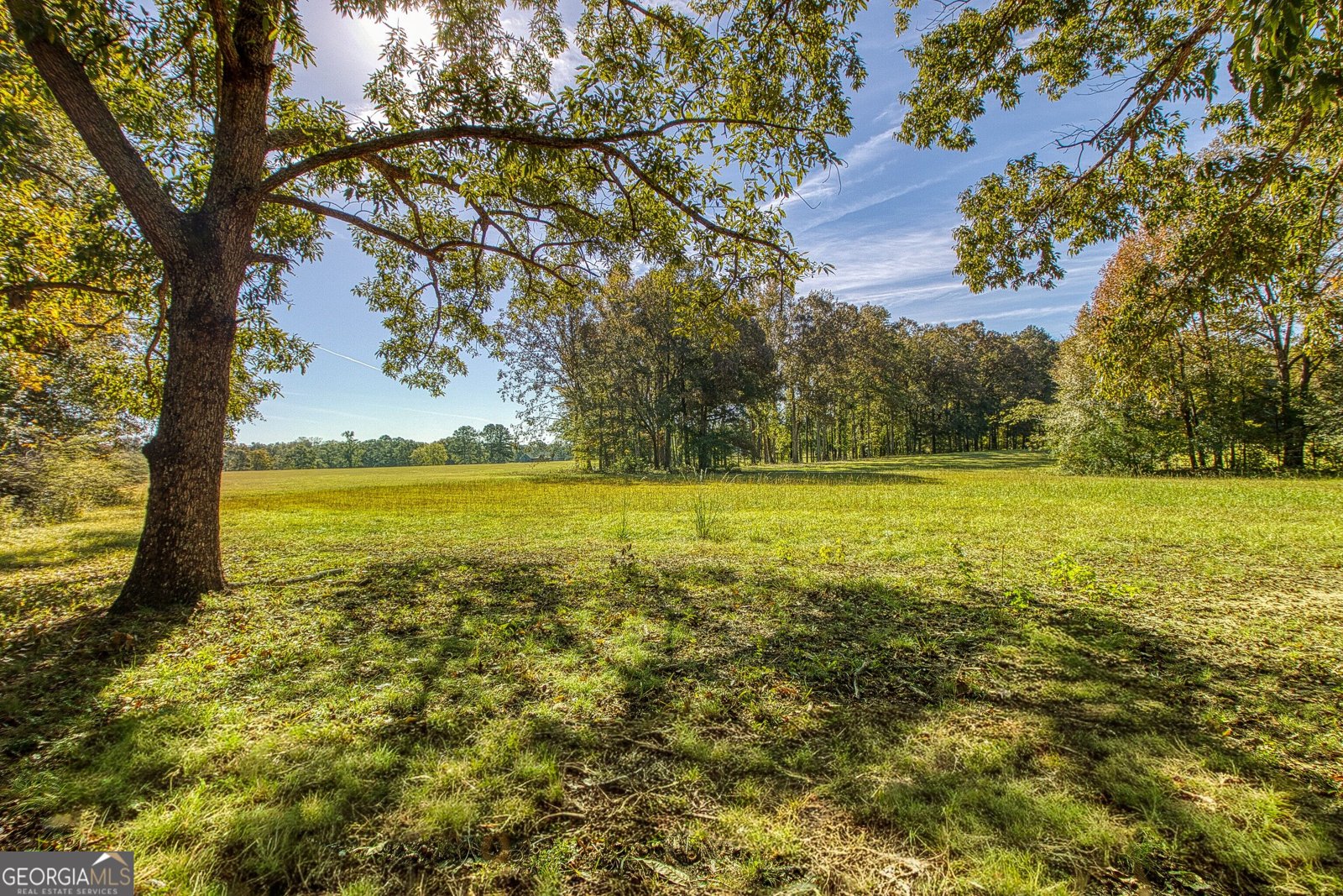 379 Line Creek Road Senoia - Photo 63