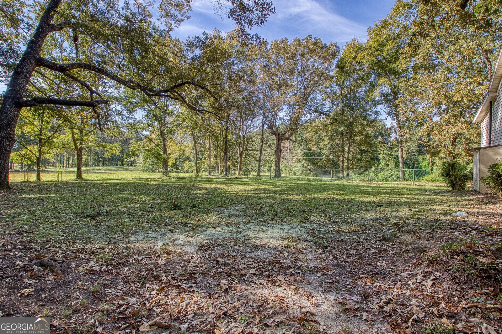 379 Line Creek Road Senoia - Photo 64