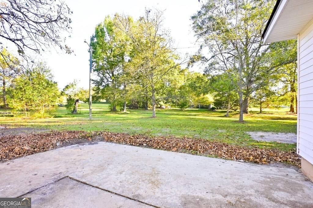 140 Watson Street Hawkinsville - Photo 18
