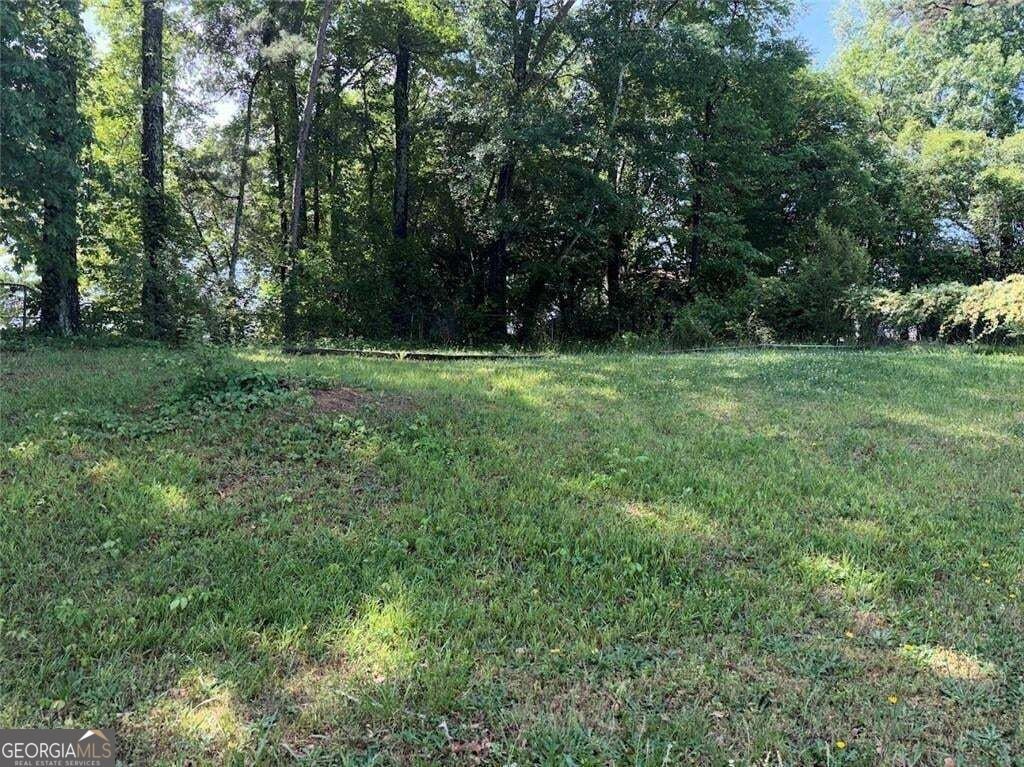 6339 Phillips Creek Drive Lithonia - Photo 10