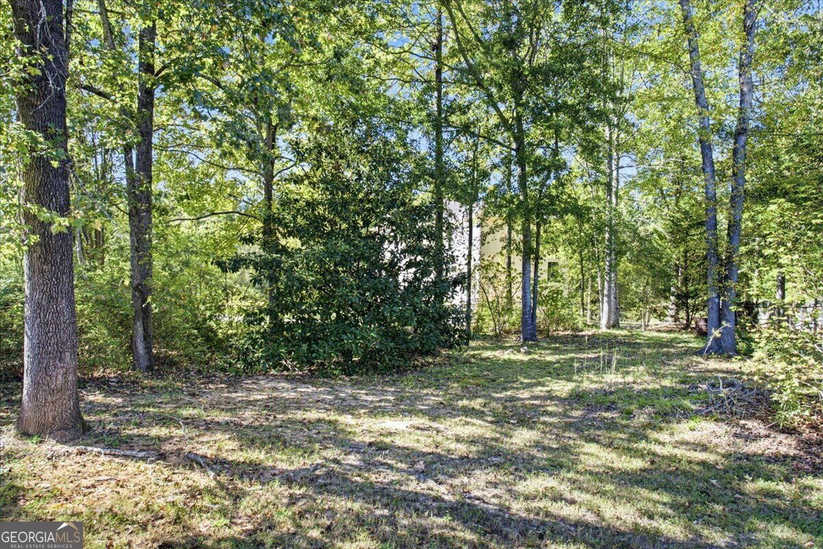 1701 Littlebrook Court Loganville - Photo 14