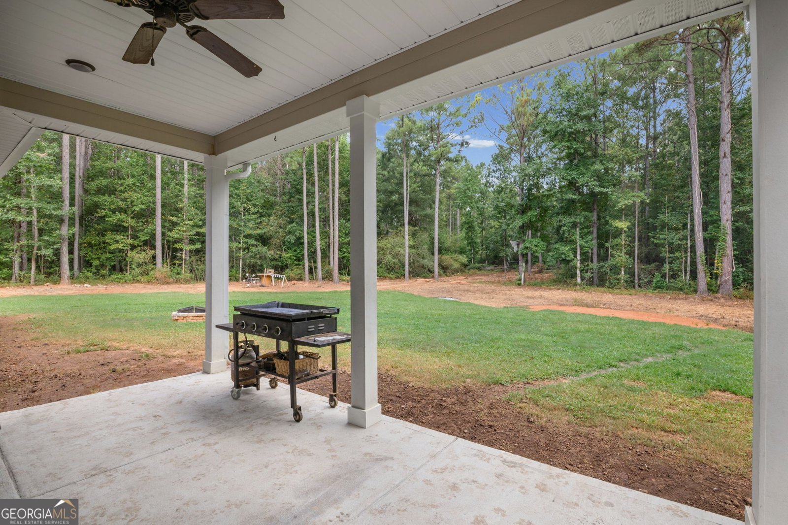 242 Roberts Pond Road Senoia - Photo 33
