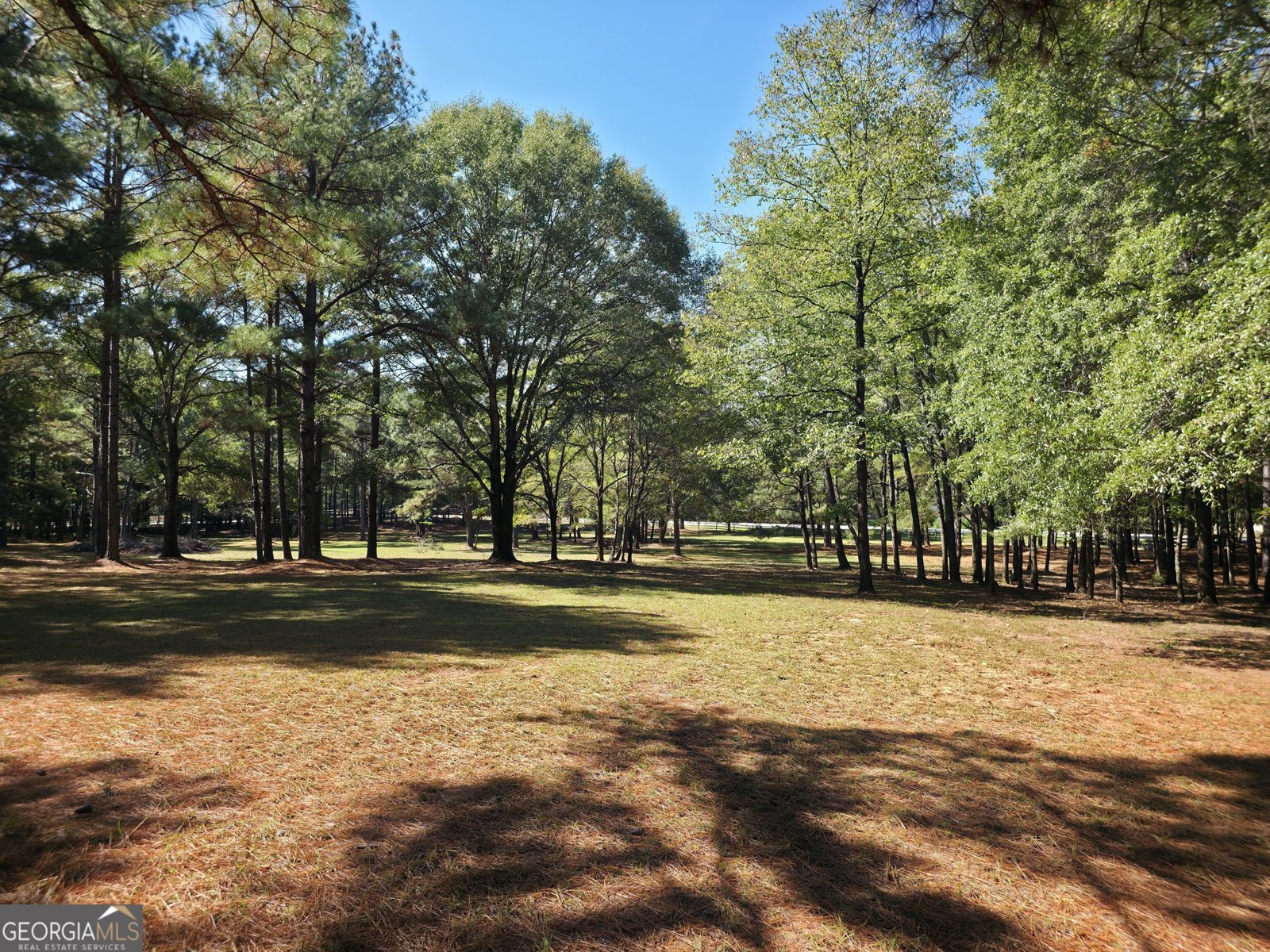 1765 Central Church Road Midland - Photo 10