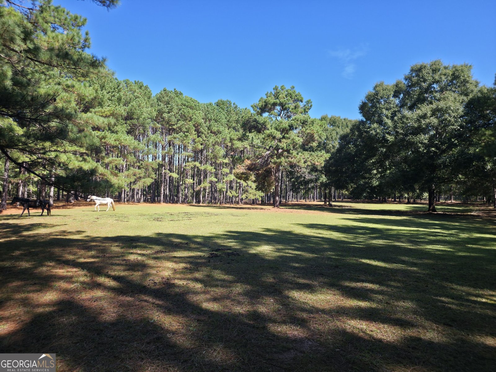 1765 Central Church Road Midland - Photo 11
