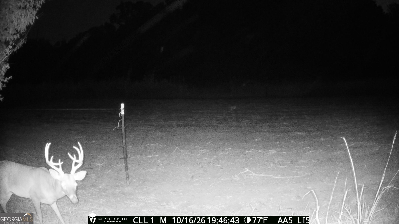 1765 Central Church Road Midland - Photo 118