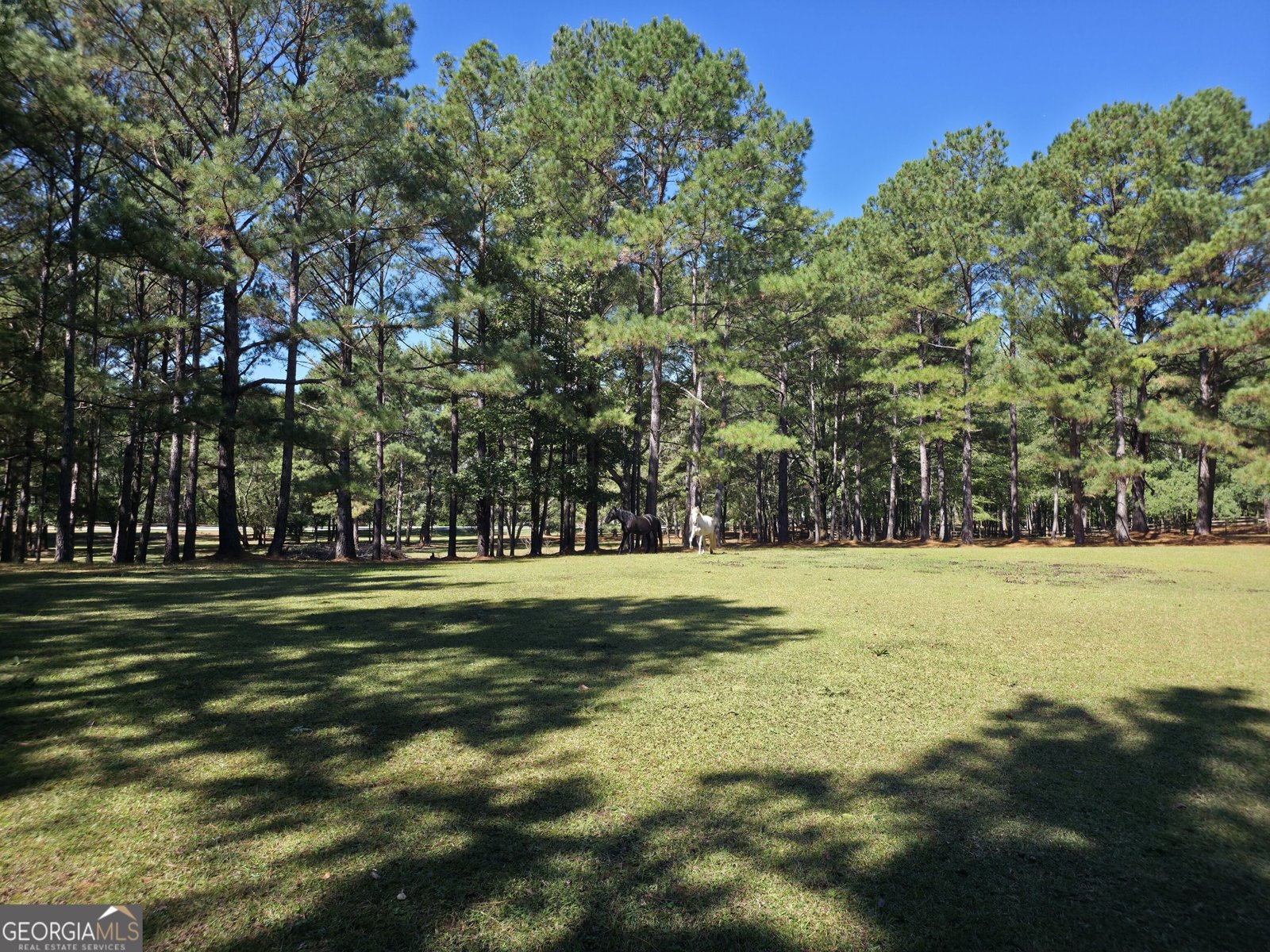 1765 Central Church Road Midland - Photo 12