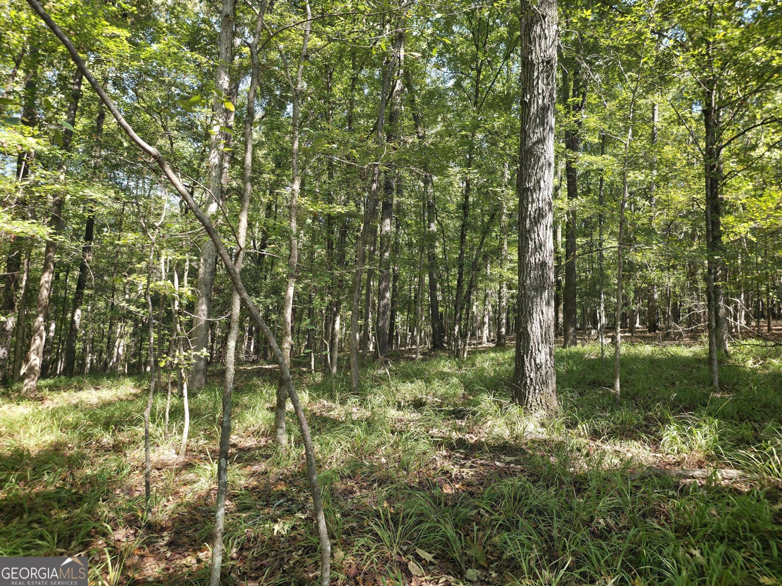 1765 Central Church Road Midland - Photo 13
