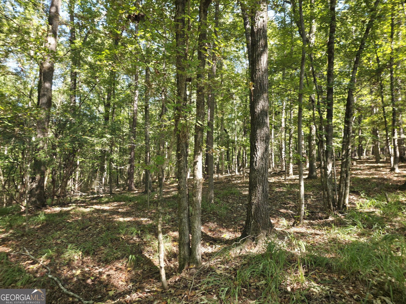 1765 Central Church Road Midland - Photo 14