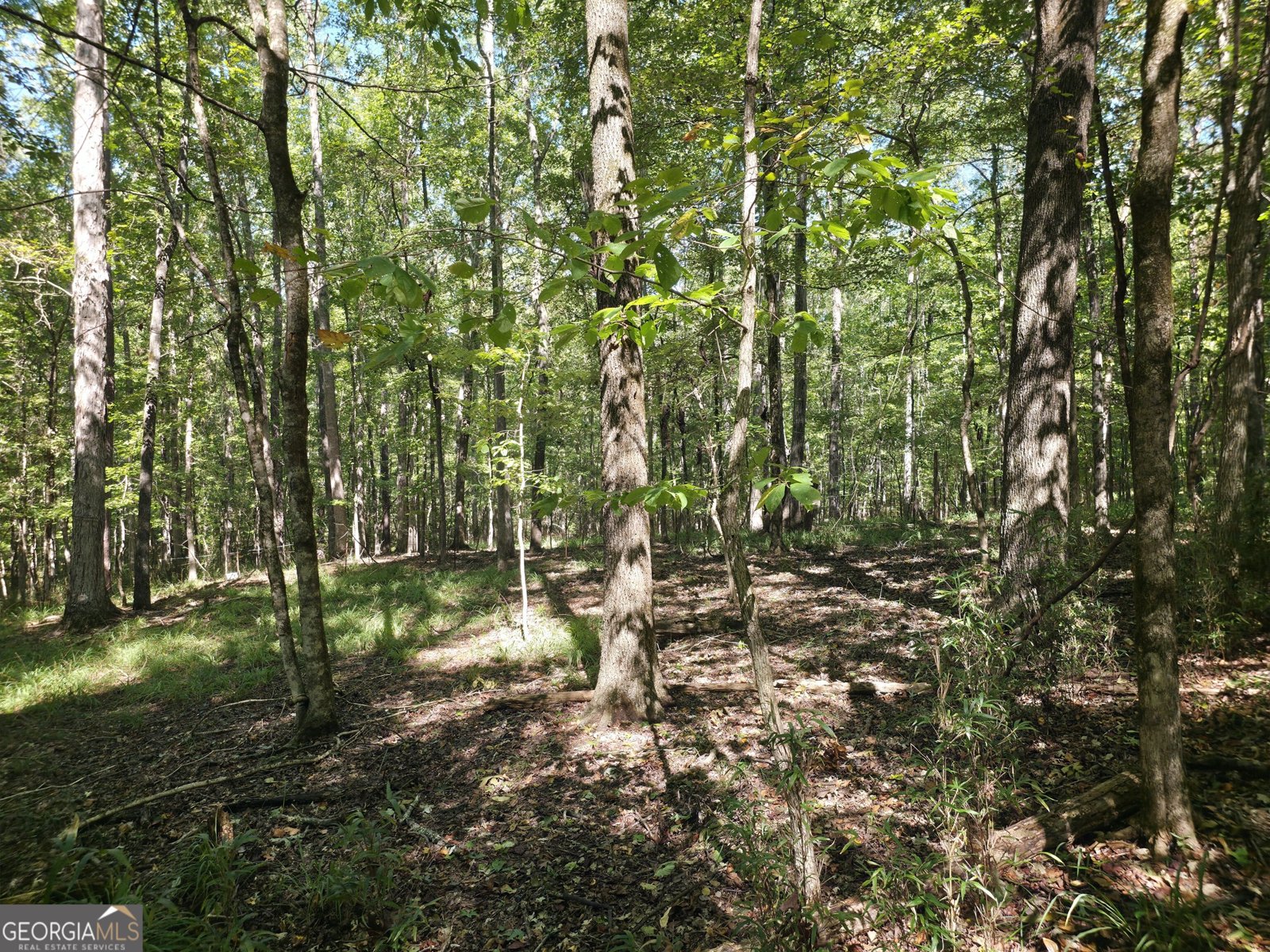 1765 Central Church Road Midland - Photo 15