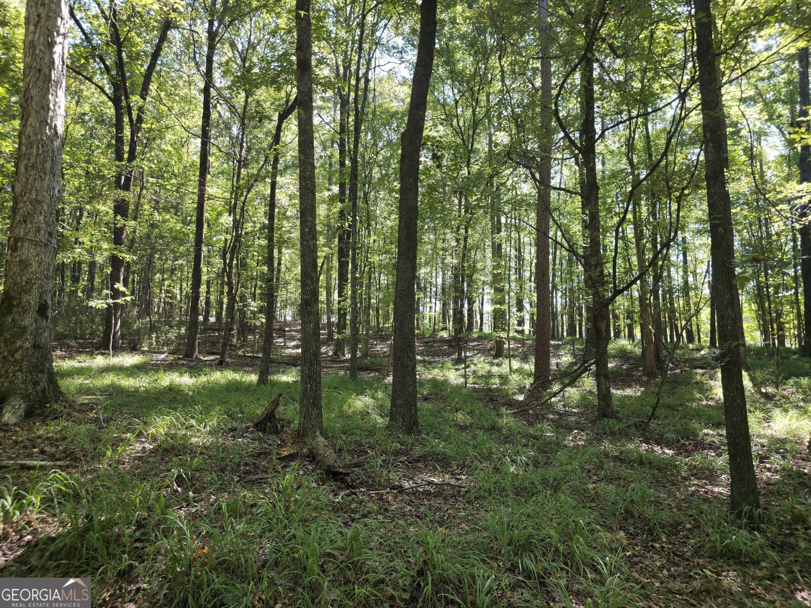 1765 Central Church Road Midland - Photo 16