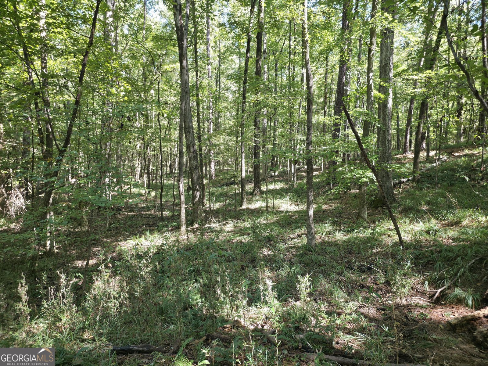 1765 Central Church Road Midland - Photo 17
