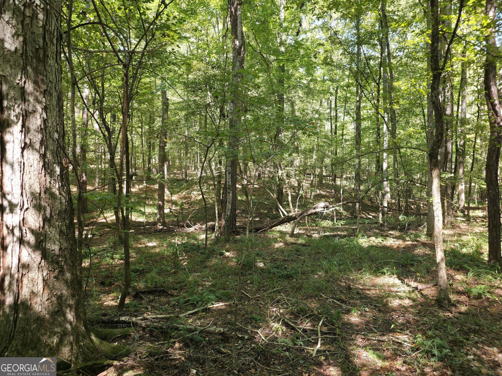 1765 Central Church Road Midland - Photo 18