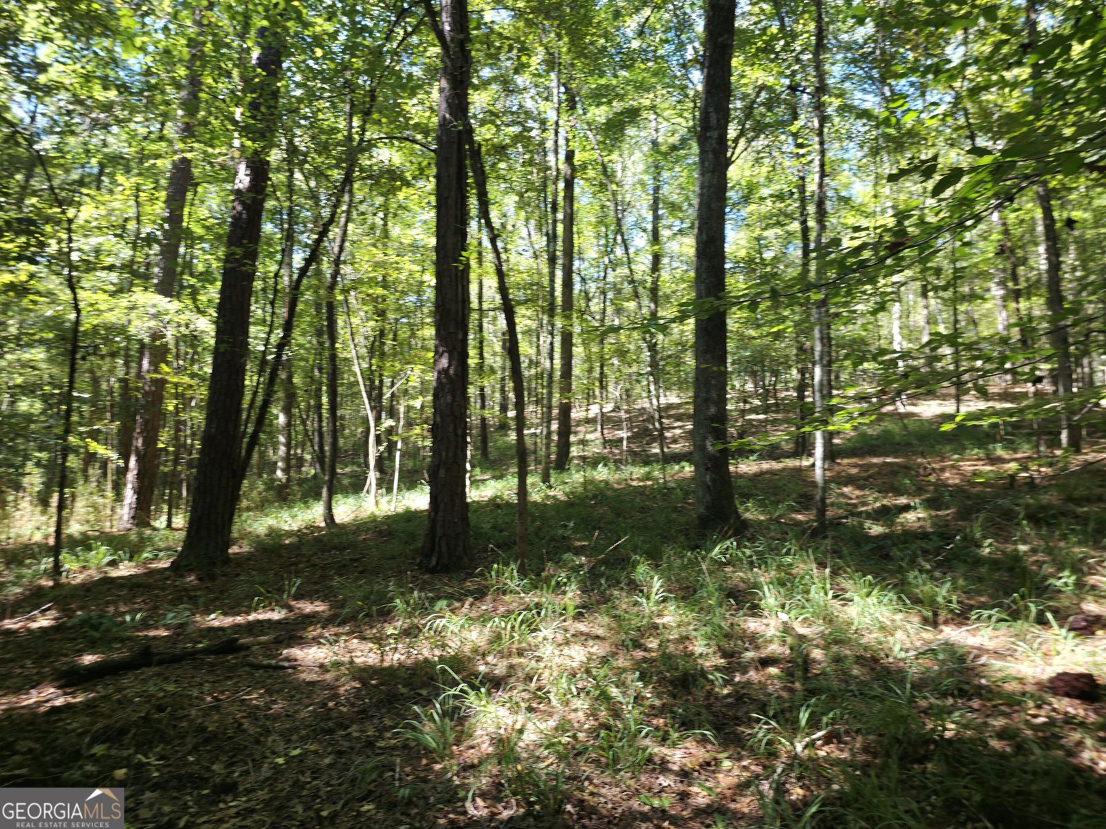 1765 Central Church Road Midland - Photo 19