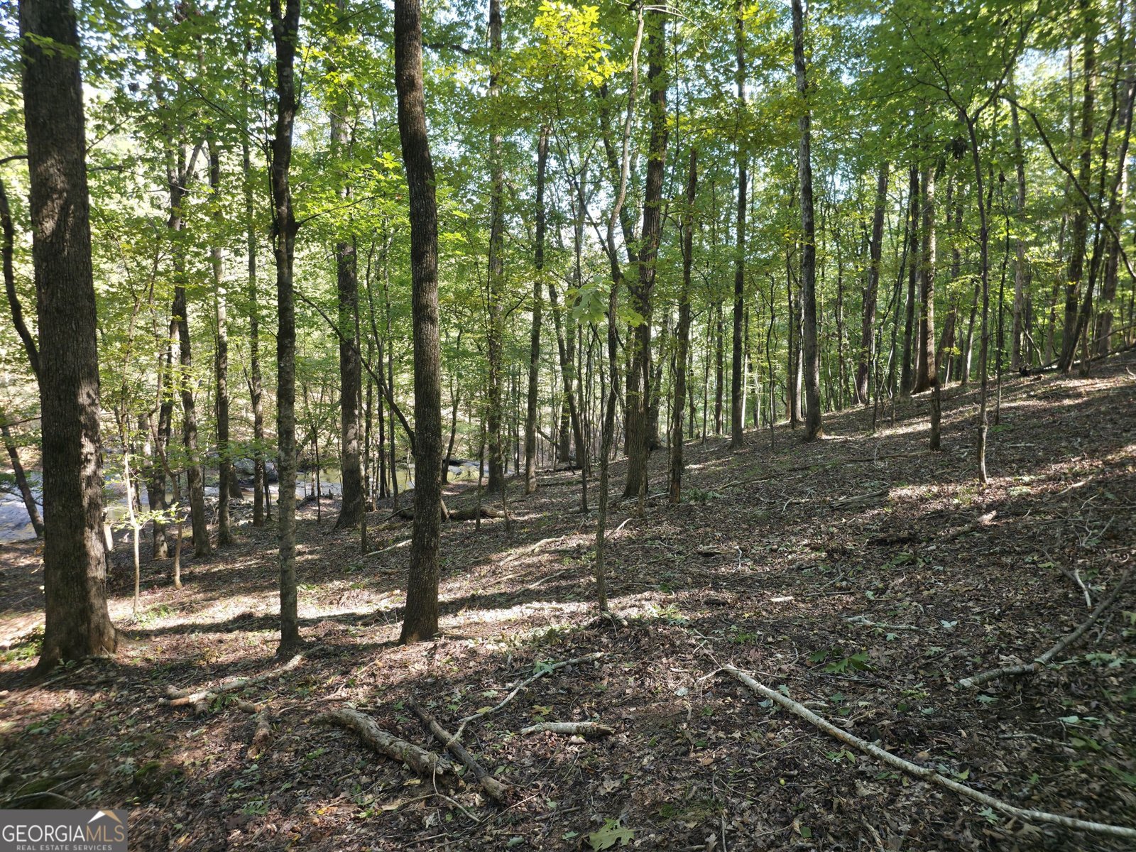 1765 Central Church Road Midland - Photo 33
