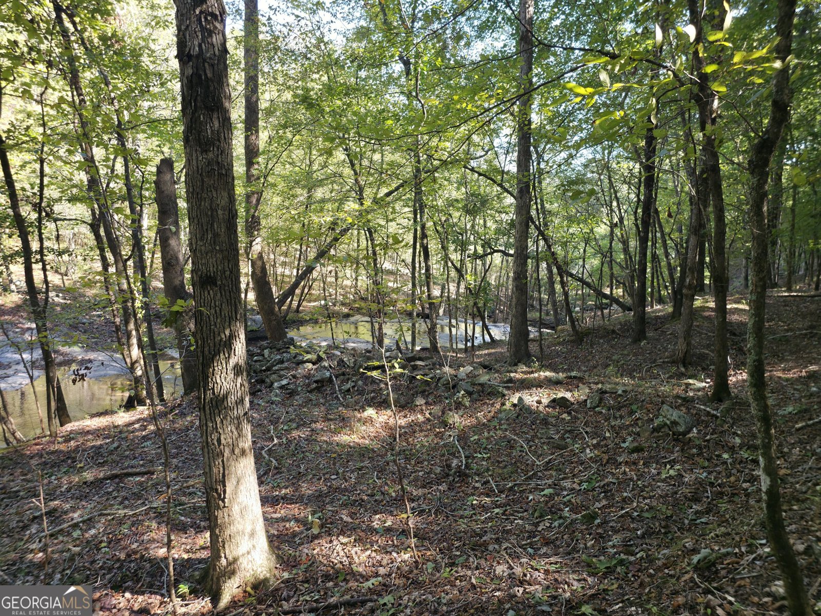 1765 Central Church Road Midland - Photo 34