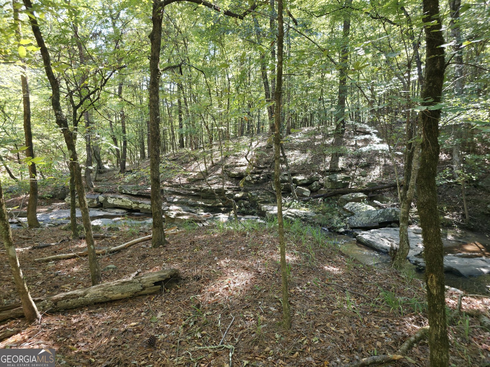1765 Central Church Road Midland - Photo 40