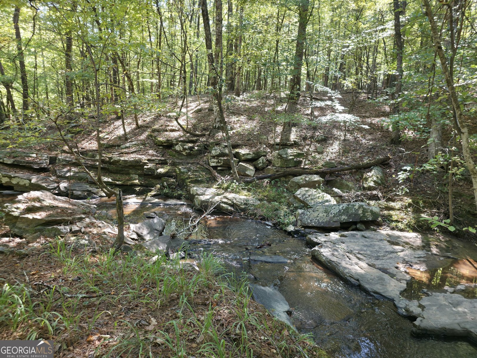 1765 Central Church Road Midland - Photo 41