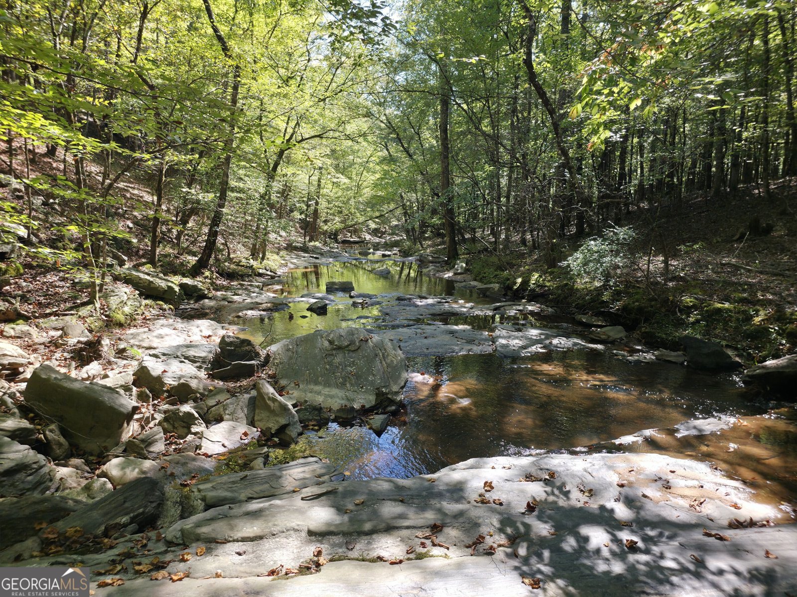1765 Central Church Road Midland - Photo 42