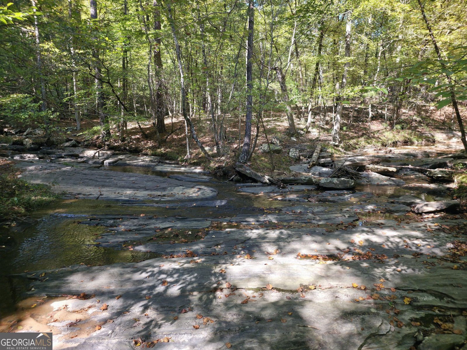 1765 Central Church Road Midland - Photo 43