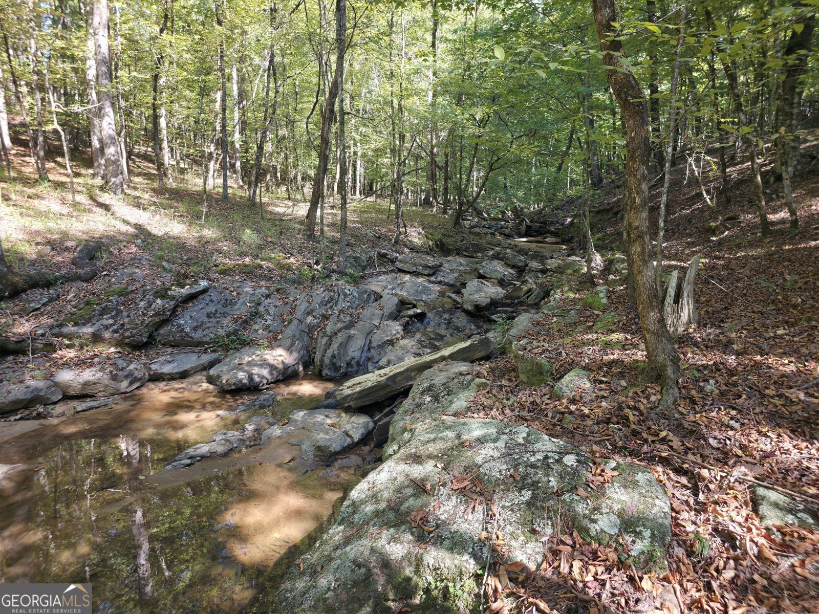 1765 Central Church Road Midland - Photo 44