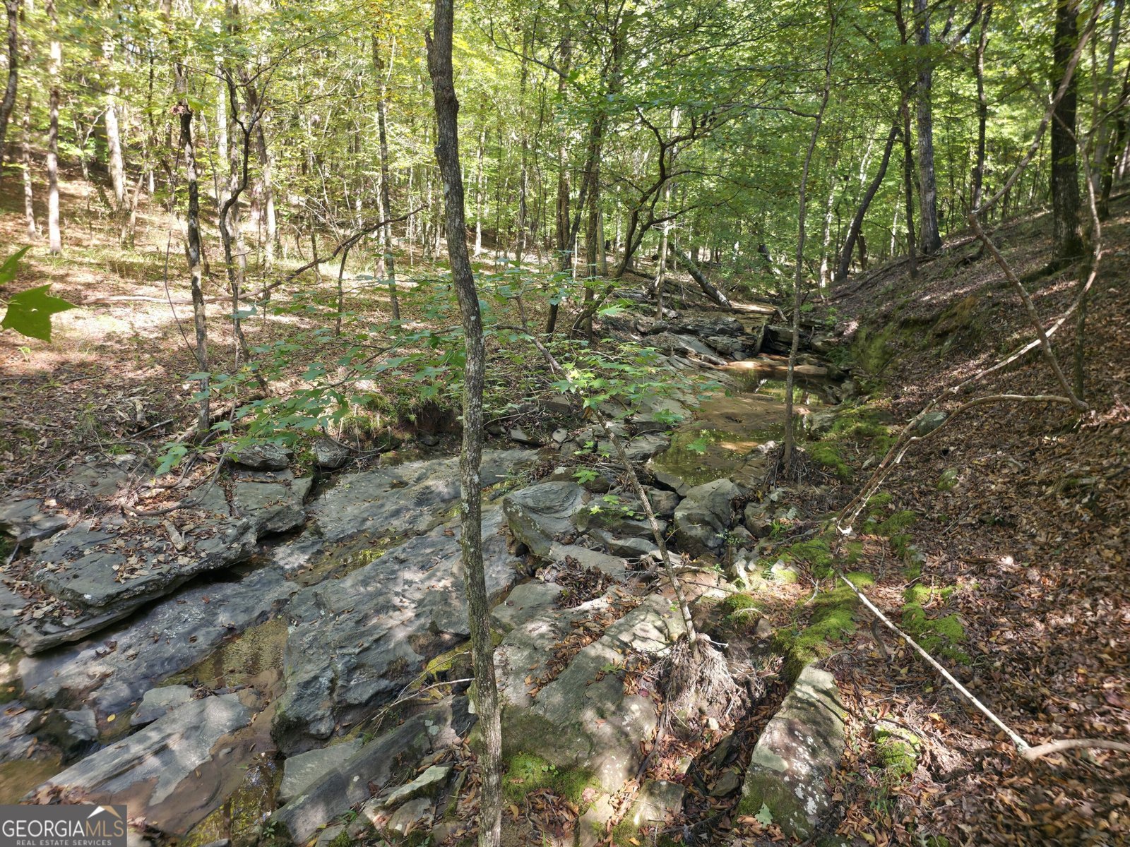 1765 Central Church Road Midland - Photo 45