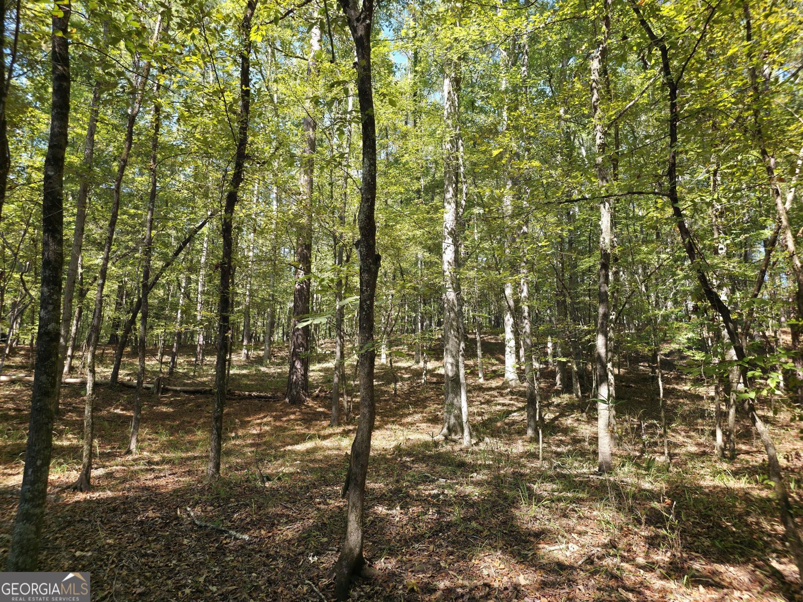 1765 Central Church Road Midland - Photo 46