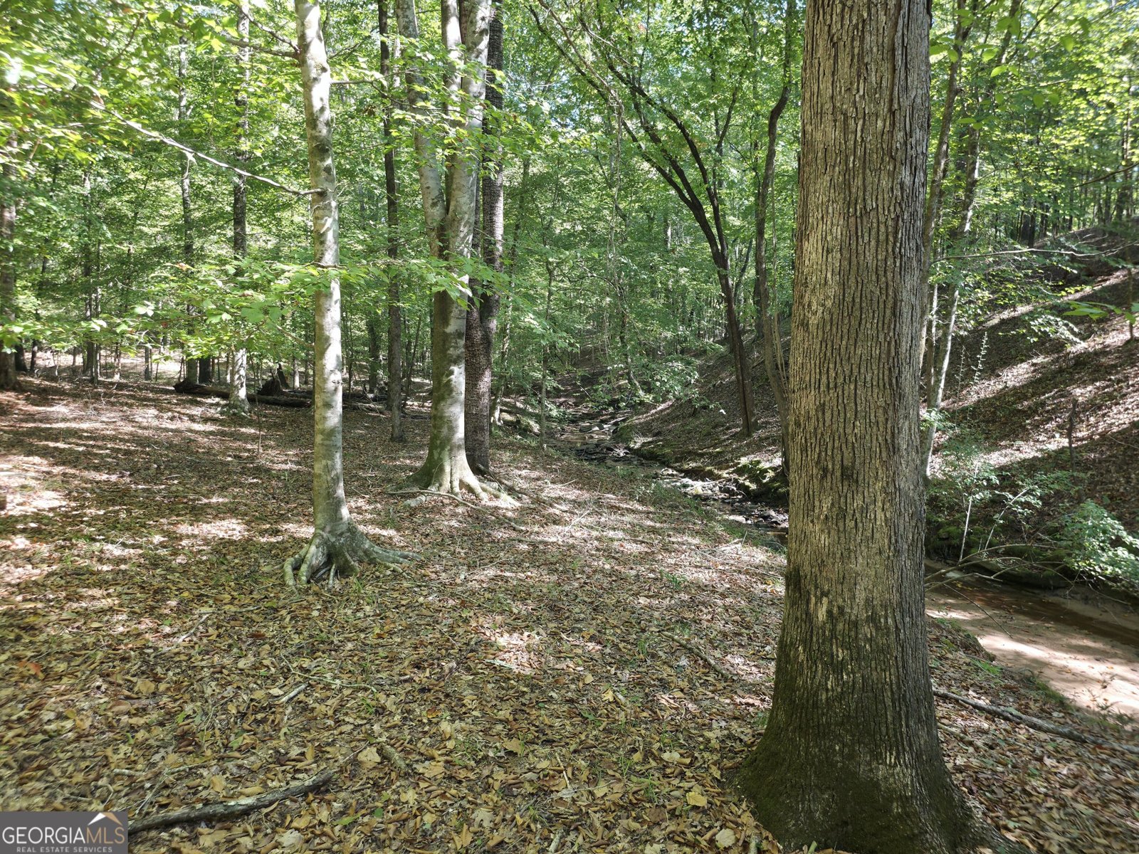 1765 Central Church Road Midland - Photo 47