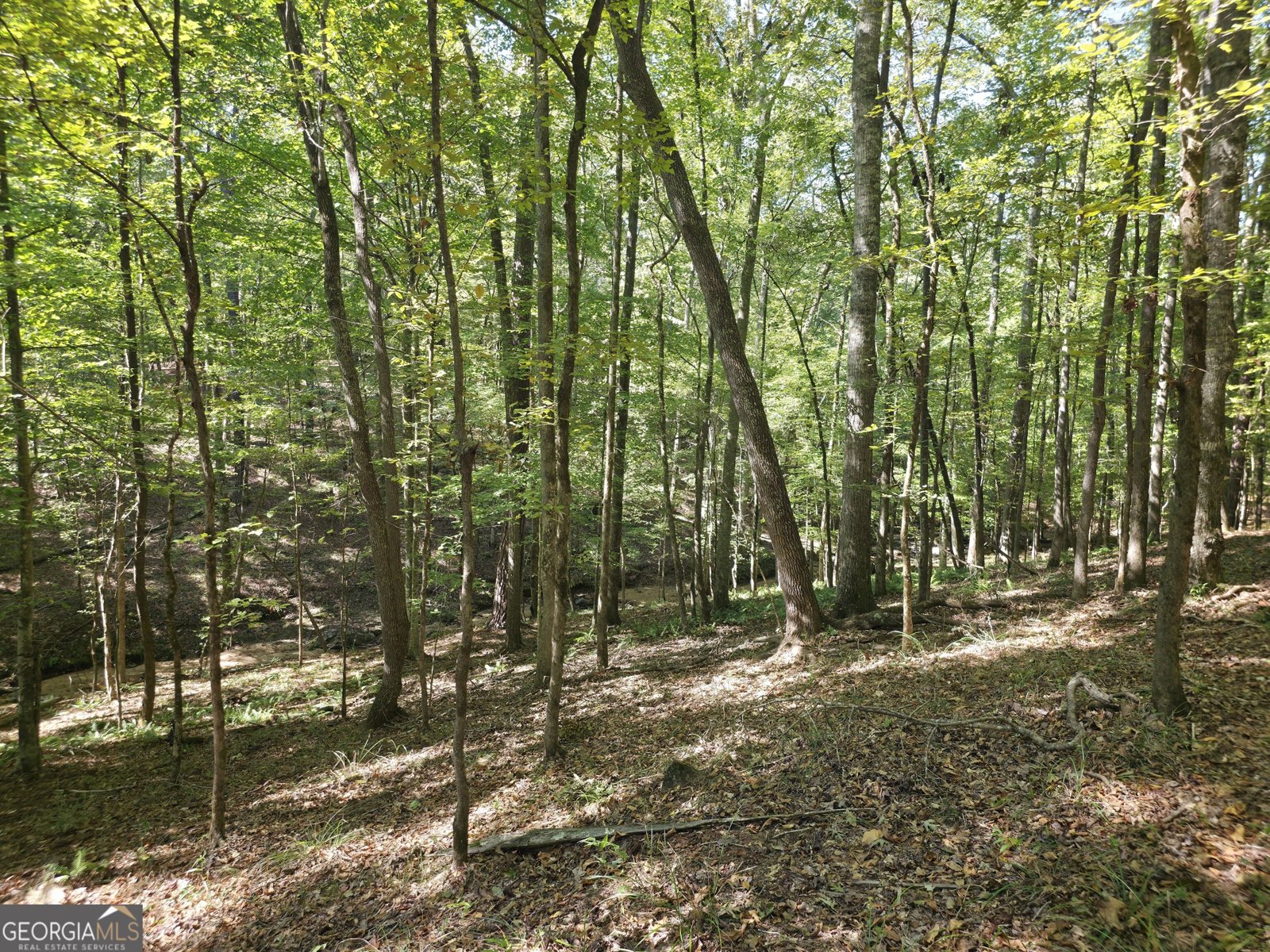 1765 Central Church Road Midland - Photo 50
