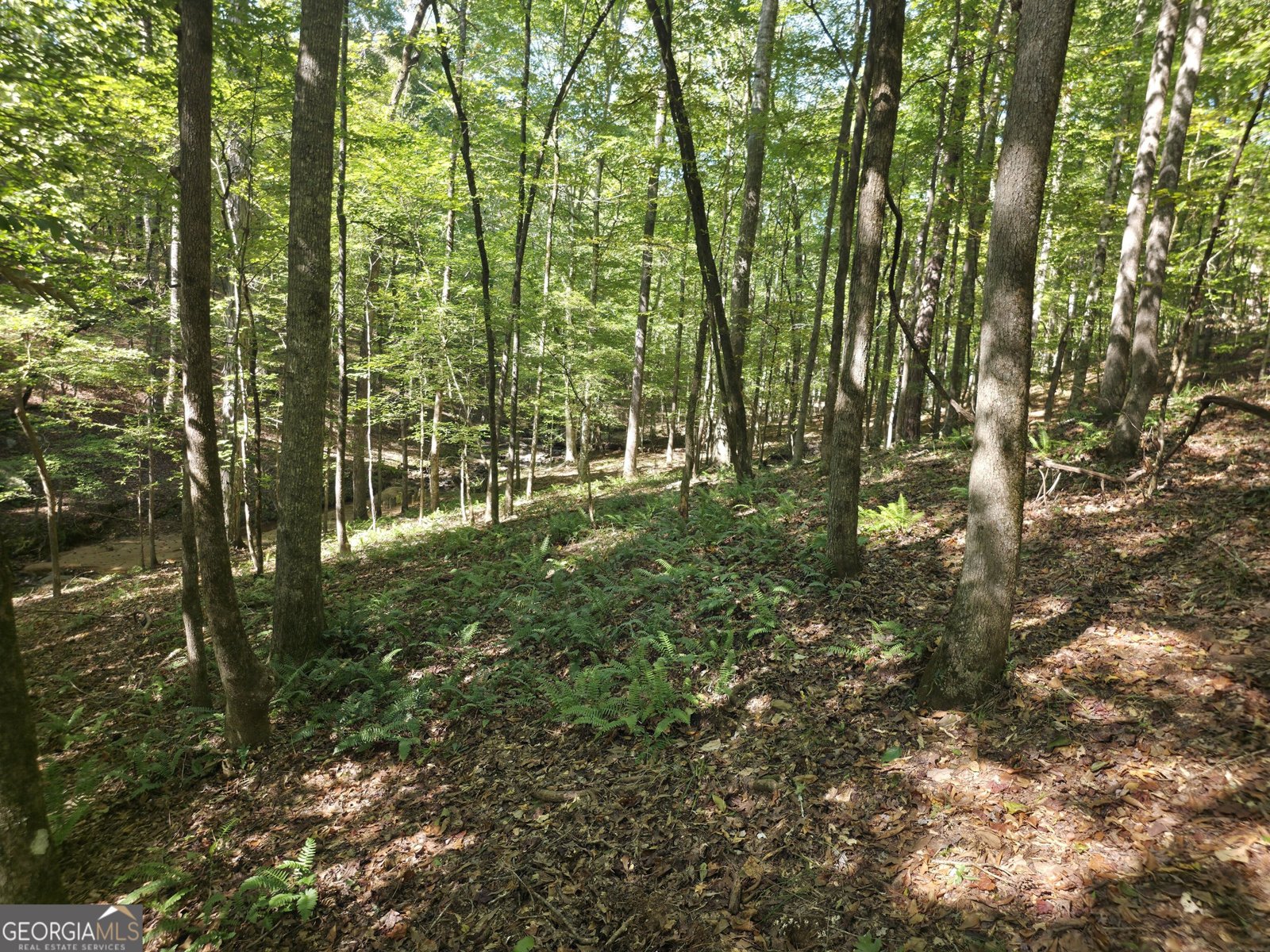 1765 Central Church Road Midland - Photo 51