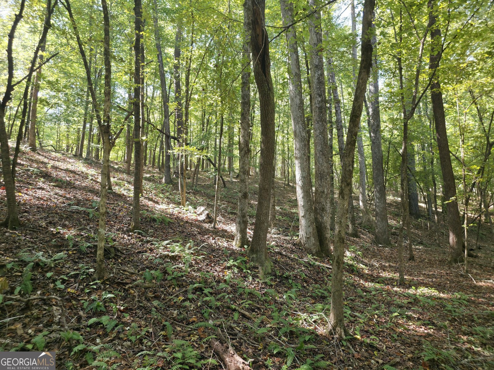 1765 Central Church Road Midland - Photo 55