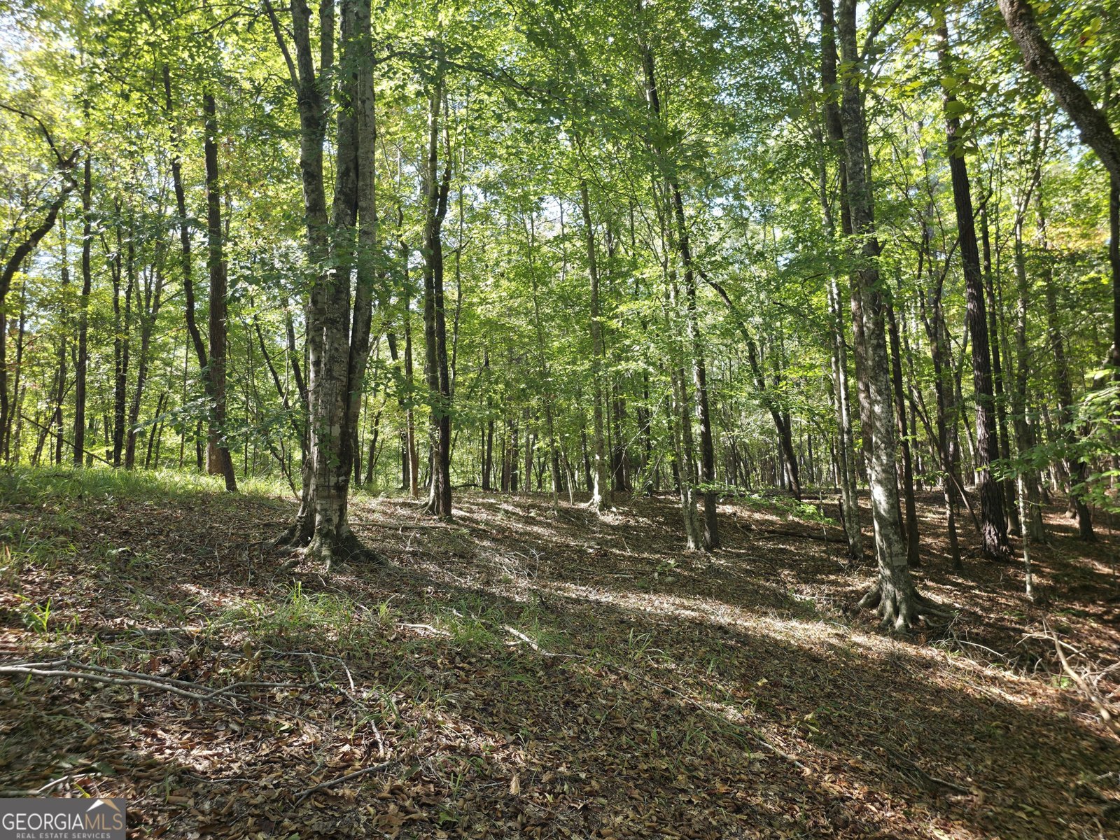 1765 Central Church Road Midland - Photo 56