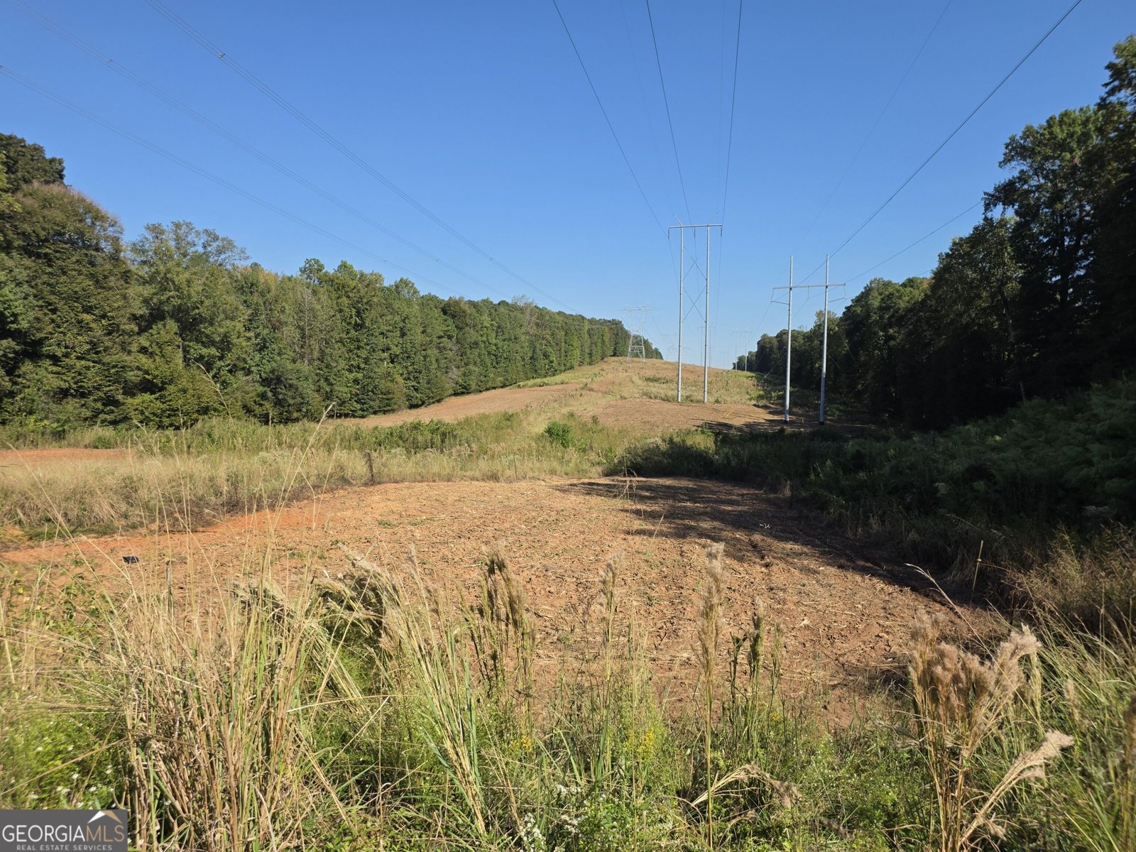 1765 Central Church Road Midland - Photo 62