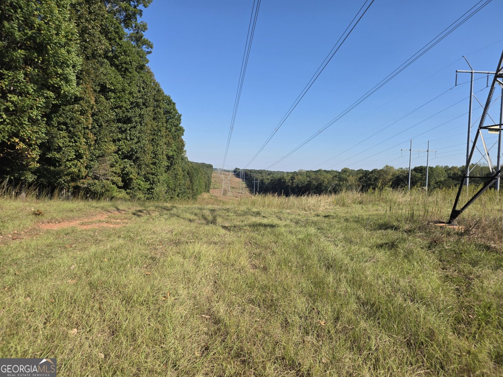 1765 Central Church Road Midland - Photo 70