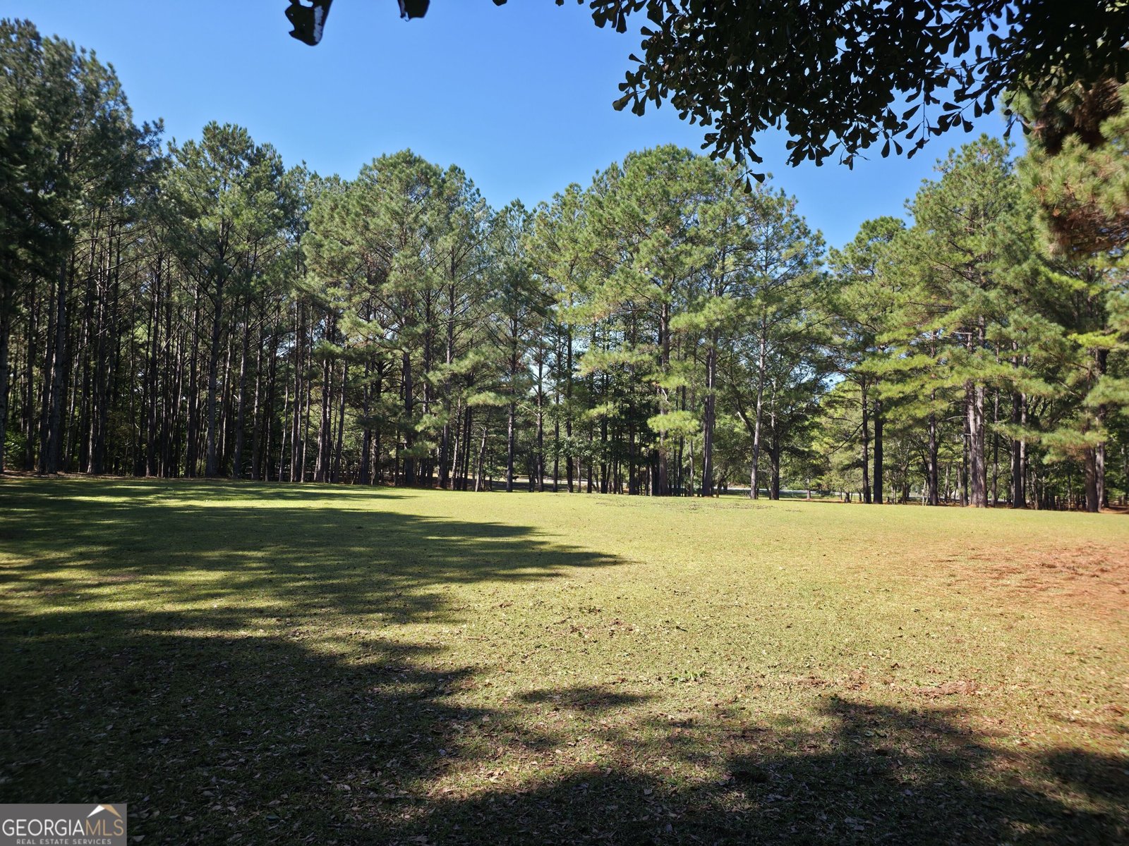 1765 Central Church Road Midland - Photo 9