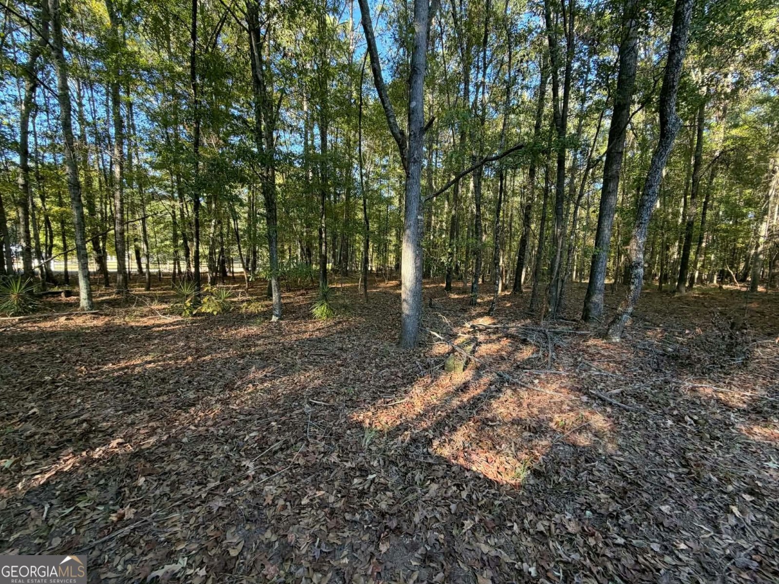 191 Gregory Lane Eatonton - Photo 45